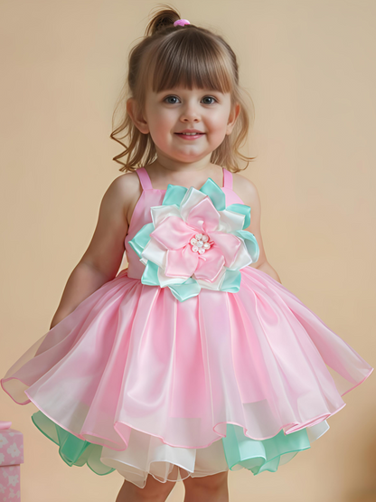 Pink & Green Floral Frock